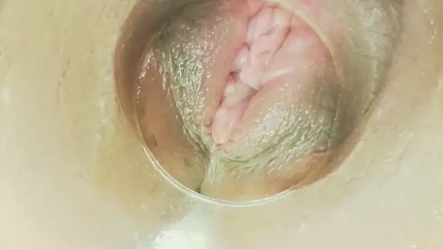 karol_stom
