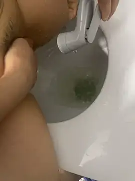 vietAnhzip