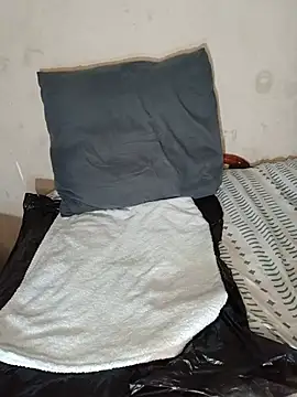 LopingDark webcam