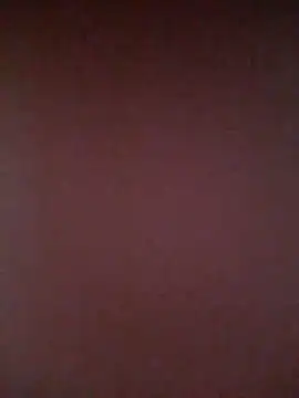 M818115 webcam