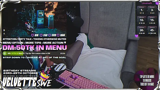 VelvetteSWE webcam