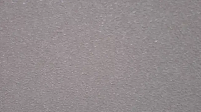 BloomMoon webcam