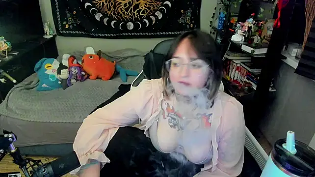crystal_musee webcam