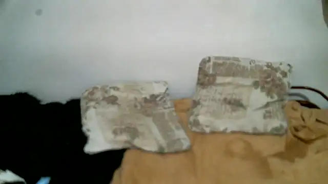 LUCKYMINT webcam