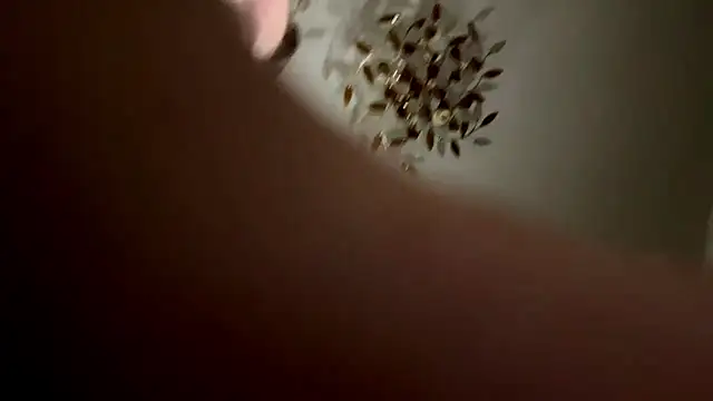Marinpeach webcam