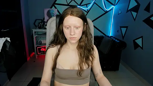 LidaDarknet webcam
