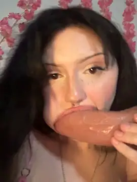 KimiSakura