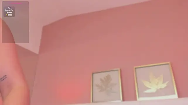 shanty_cole webcam