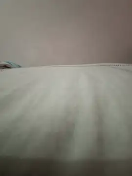 Kingmam444