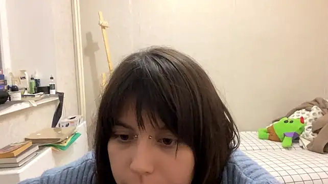 SaintMari webcam
