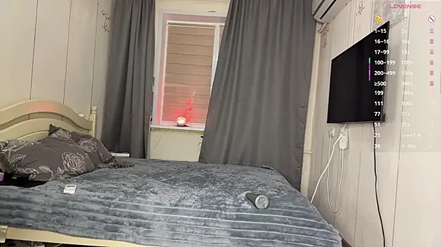 EtherealEye webcam