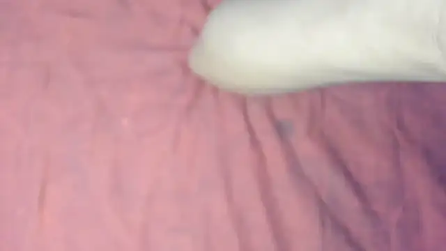 ArianaUnicorn webcam