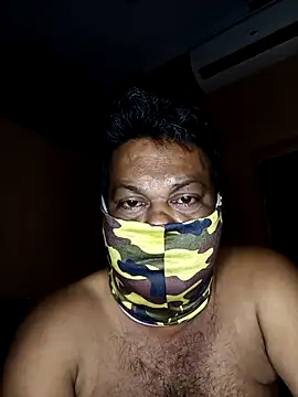 palsland webcam