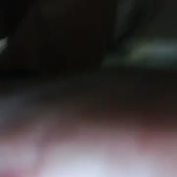 AlexAlejandro13