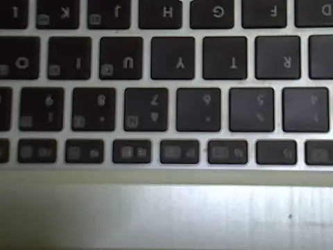 Delicious-D webcam