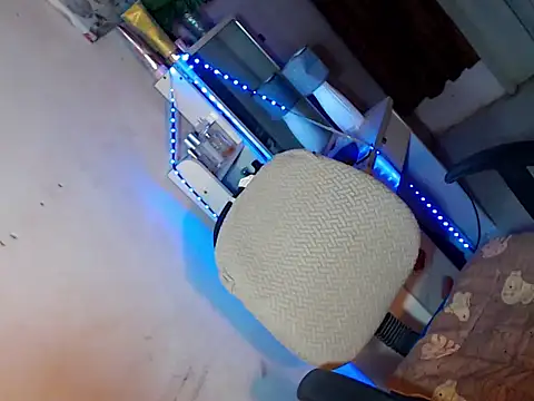 Borikat18 webcam