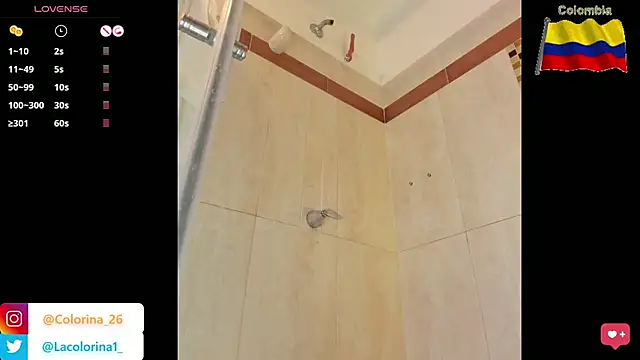 Lacolorinaa webcam