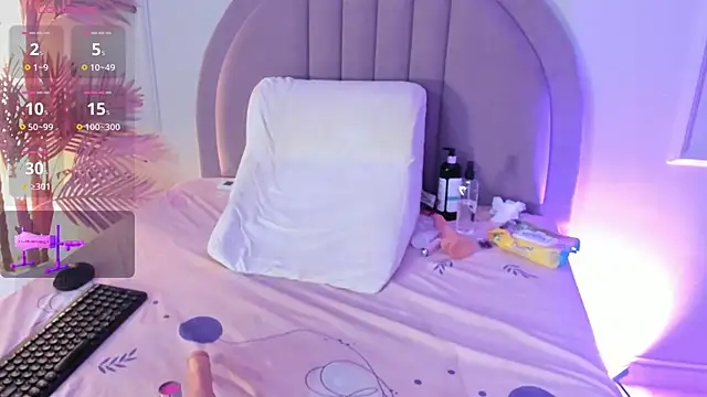 Nalapalmer webcam