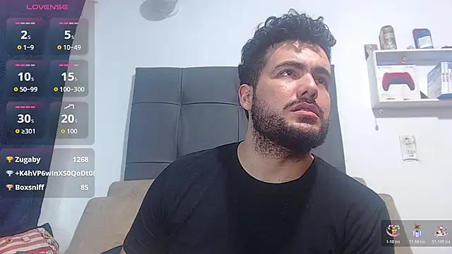 paulsprominence webcam
