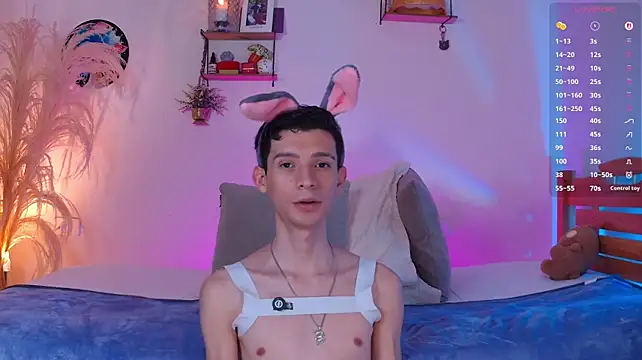 VicenteFerrer webcam