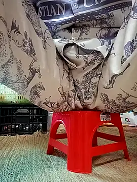 -Tara-a webcam