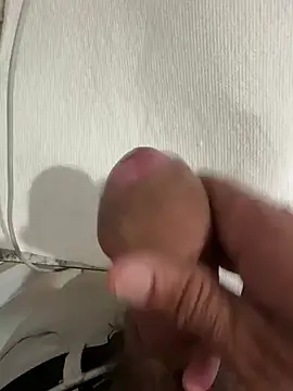 lapimgarica