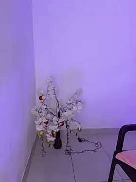 luxurykatty
