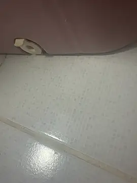 Geceavcisii webcam