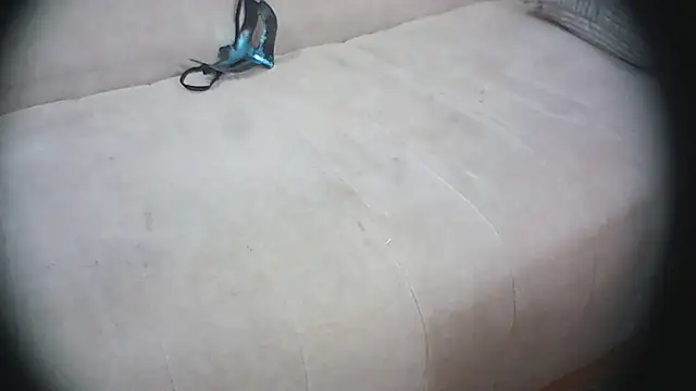Foxxy-e webcam