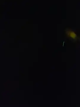 mavin_ webcam