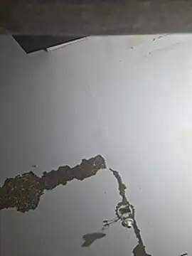 ColdVisitor webcam
