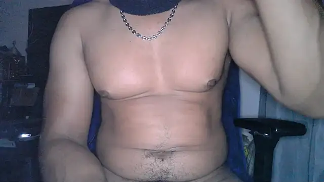 Metisse-BBC webcam