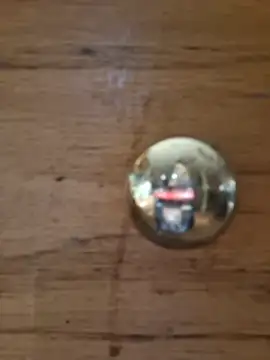 pineapplelife webcam