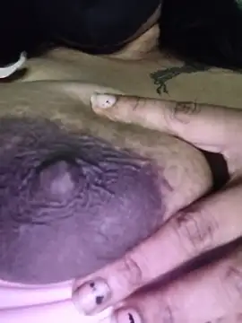 V-Hot-Suity webcam