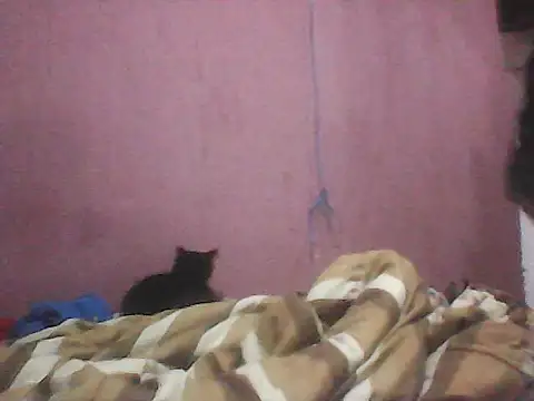 alwaysluxna webcam