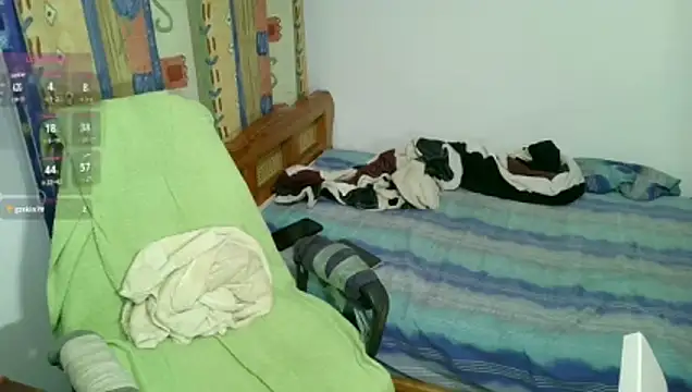 Meeliivee webcam
