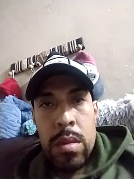 Gato33311 webcam