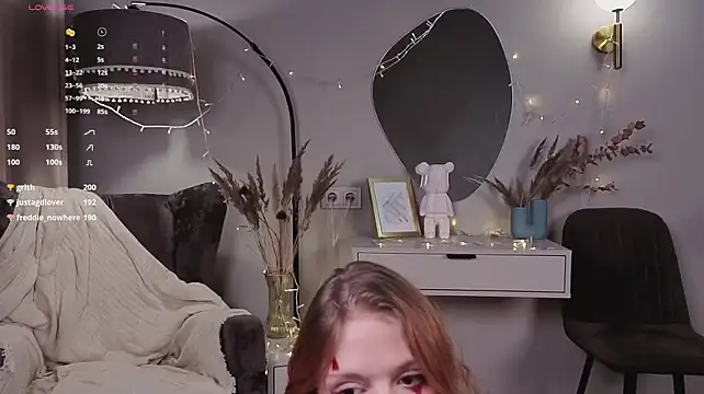 weisus webcam