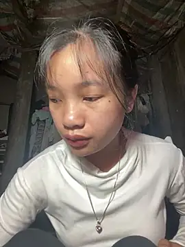 Xiuxiu-zz webcam