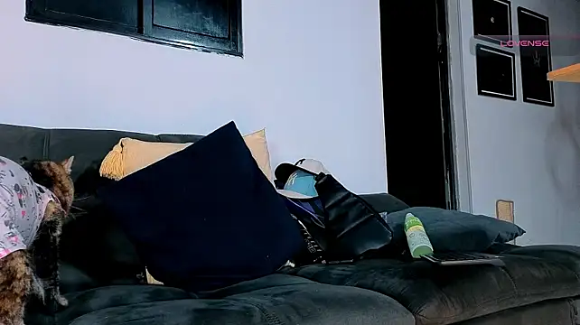 SilvaBranko webcam