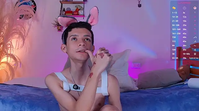 VicenteFerrer webcam