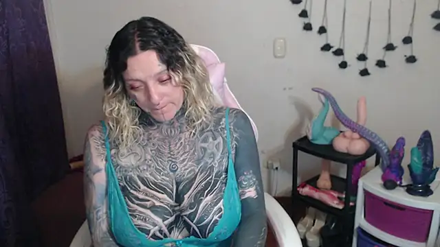 SLOPPYTITSS webcam
