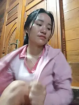 Td3di webcam