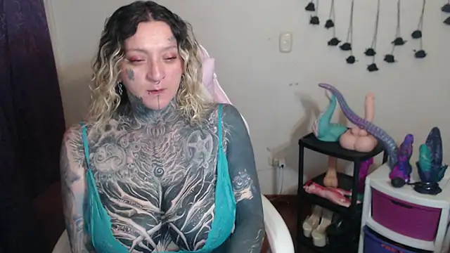 SLOPPYTITSS webcam
