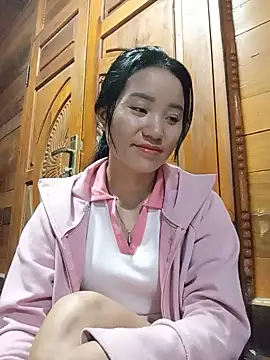 Td3di webcam