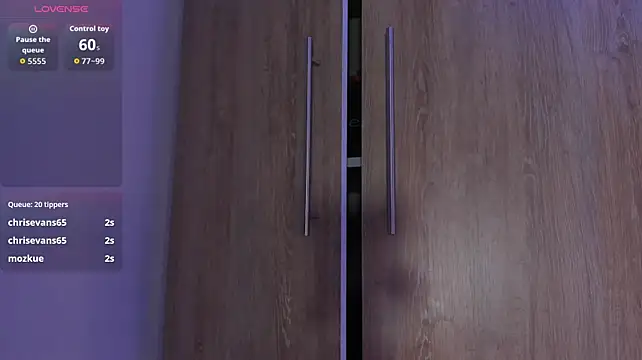 Anyconnor webcam