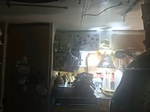 whitetrashdirtyslut webcam