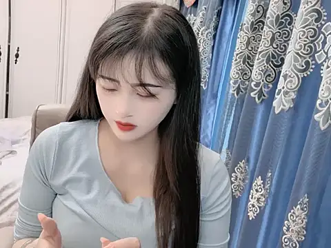 sjsibi webcam
