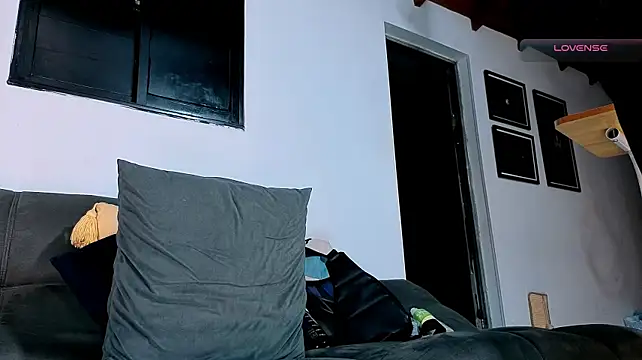 SilvaBranko webcam