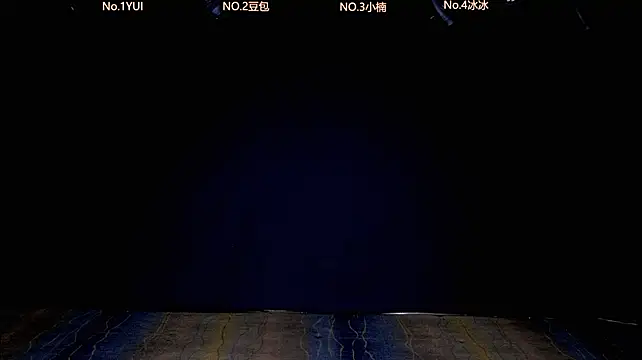 PL-8888 webcam
